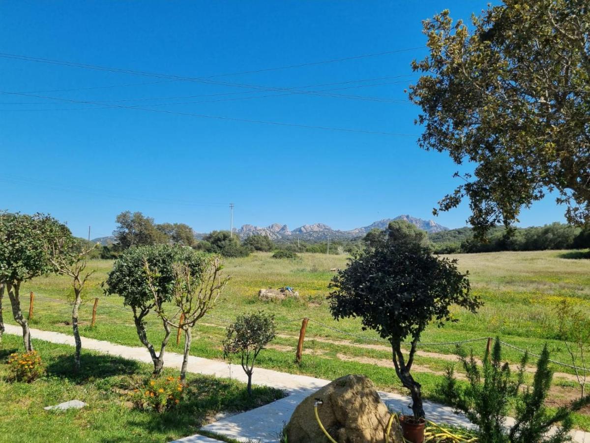 Lu Antu Alloggi Agrituristici Arzachena Exterior foto